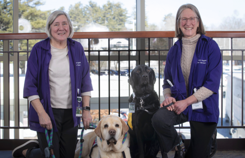 Volunteers with Atticus and Myrtle